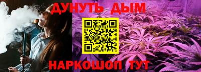 крисы Новозыбков