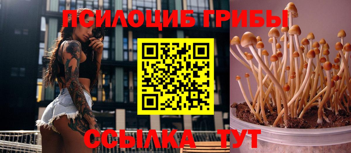 Галлюциногенные грибы ЛСД  Вход с VPN  Тверь 